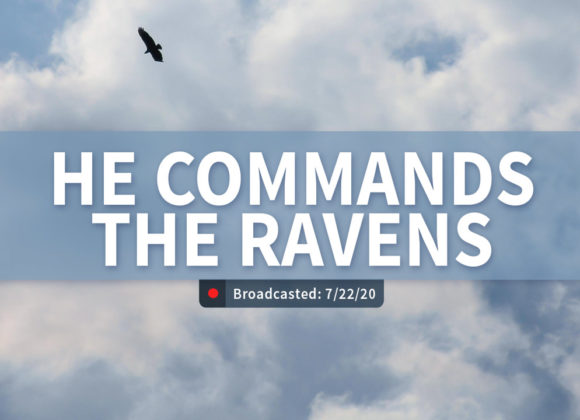 He Commands the Ravens | Wednesday – July 22, 2020 He Commands the Ravens | Wednesday – July 22, 2020