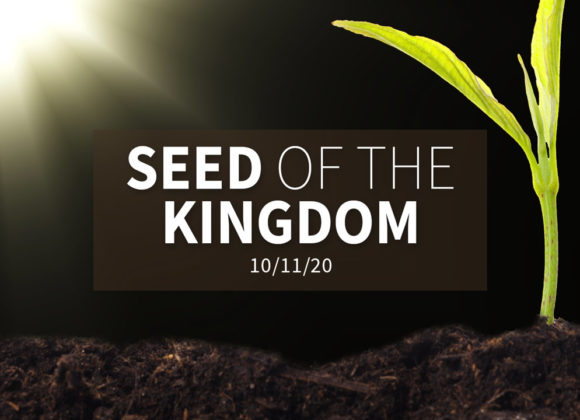 The Seed of the Kingdom | Sunday – October 11, 2020 The Seed of the Kingdom | Sunday – October 11, 2020