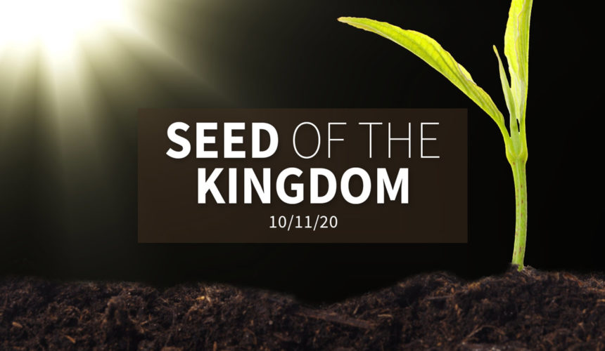 The Seed of the Kingdom | Sunday – October 11, 2020