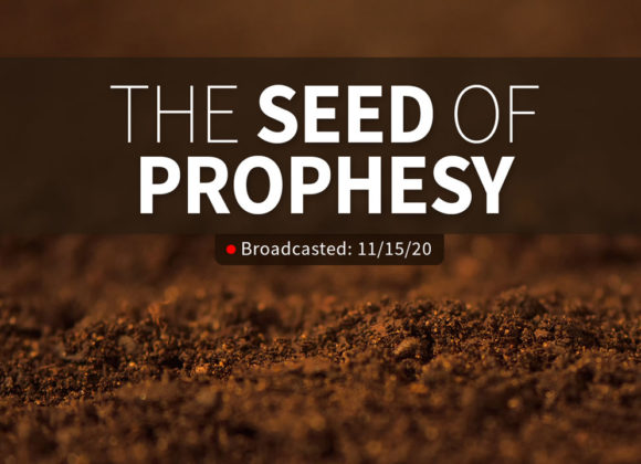 The Seed of Prophesy | Sunday – November 15, 2020 The Seed of Prophesy | Sunday – November 15, 2020