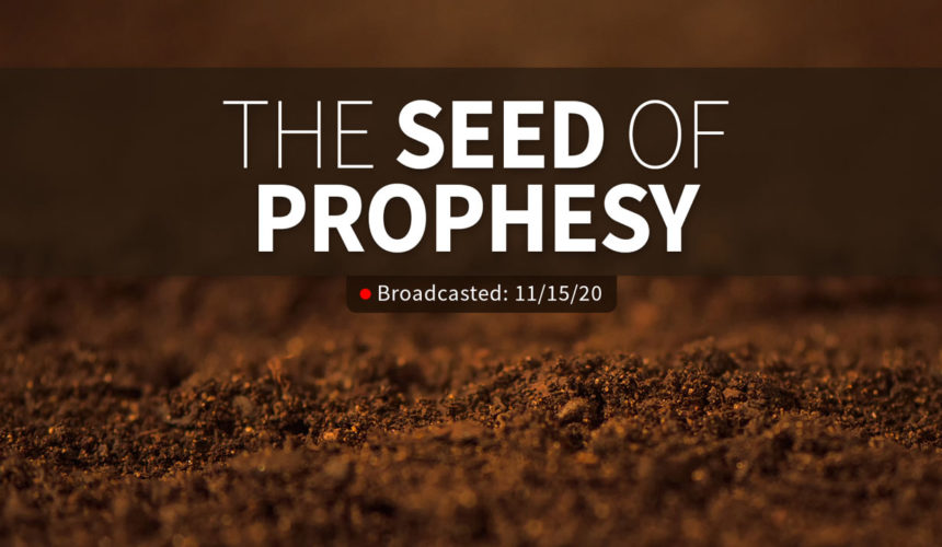 The Seed of Prophesy | Sunday – November 15, 2020
