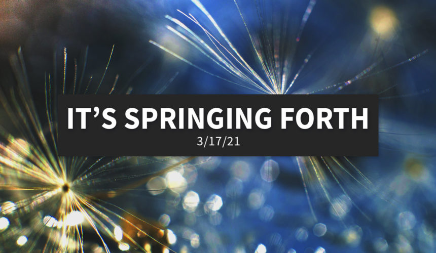 It’s Springing Forth | Wednesday, March 17, 2021