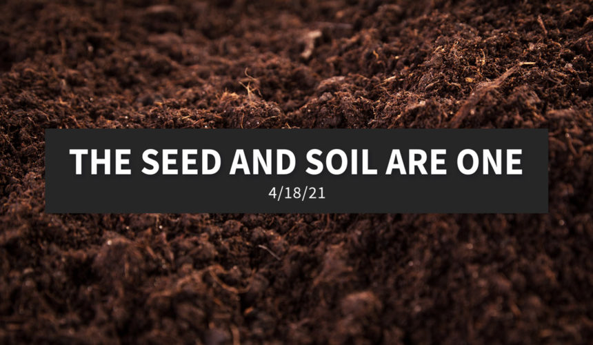 The Seed and Soil are One | Sunday, April 18, 2021
