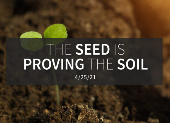 The Seed is Proving the Soil | Sunday, April 25, 2021 | Gary Zamora The Seed is Proving the Soil | Sunday, April 25, 2021 | Gary Zamora