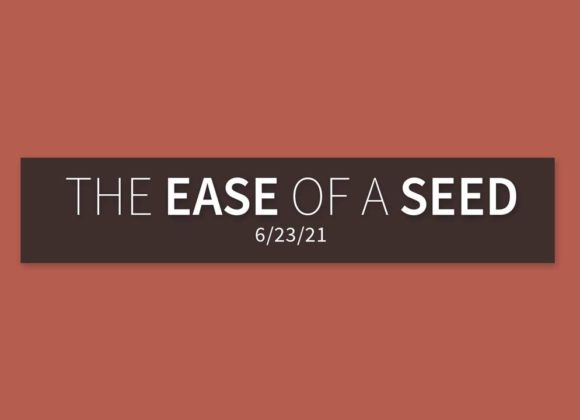 The Ease of a Seed | Wednesday, June 23, 2021 | Gary Zamora The Ease of a Seed | Wednesday, June 23, 2021 | Gary Zamora