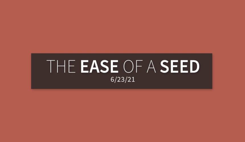 The Ease of a Seed | Wednesday, June 23, 2021 | Gary Zamora