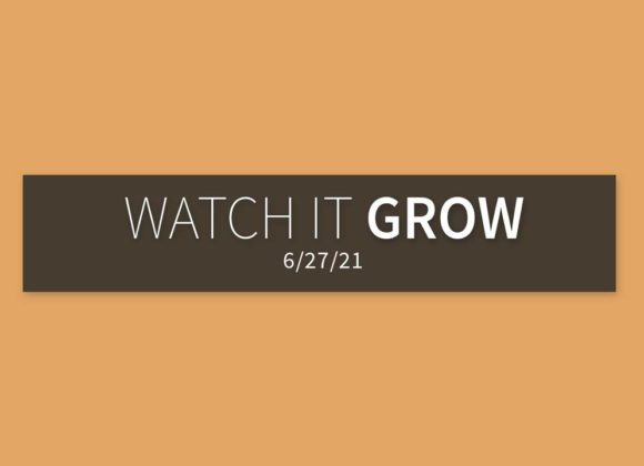 Watch It Grow | Sunday, June 27, 2021 | Gary Zamora Watch It Grow | Sunday, June 27, 2021 | Gary Zamora