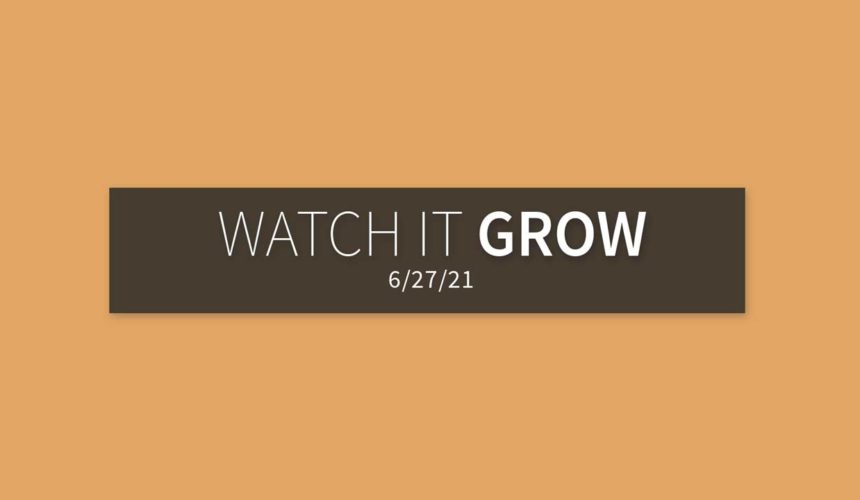 Watch It Grow | Sunday, June 27, 2021 | Gary Zamora