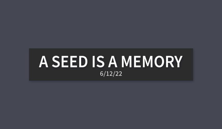 A Seed is a Memory | Sunday, June 12, 2022 | Gary Zamora