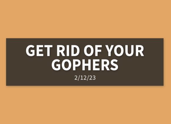 Get Rid of your Gophers | Sunday, February 12, 2023 | Gary Zamora