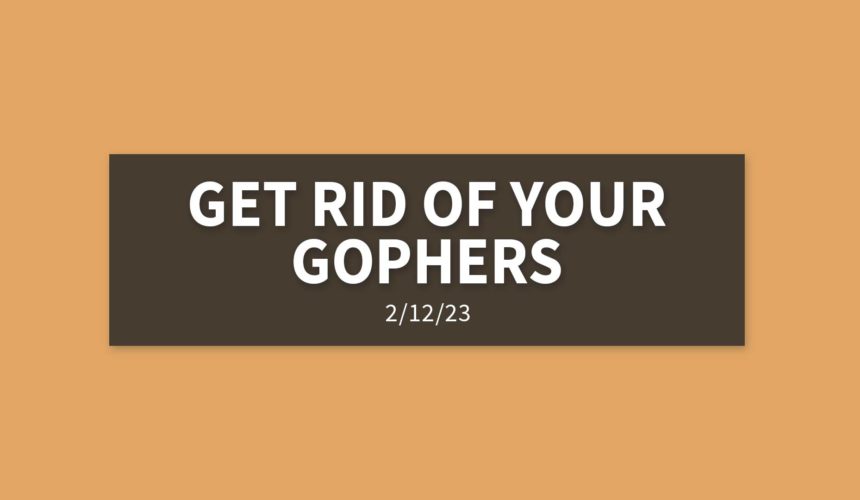 Get Rid of your Gophers | Sunday, February 12, 2023 | Gary Zamora