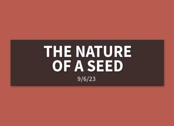 The Nature of a Seed | Wednesday, September 6, 2023 | Gary Zamora