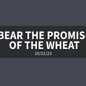 Bear the Promise of the Wheat | Sunday, October 22, 2023 | Gary Zamora