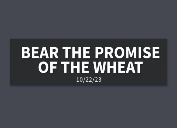 Bear the Promise of the Wheat | Sunday, October 22, 2023 | Gary Zamora