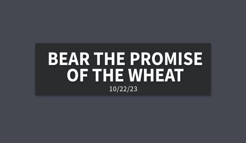 Bear the Promise of the Wheat | Sunday, October 22, 2023 | Gary Zamora