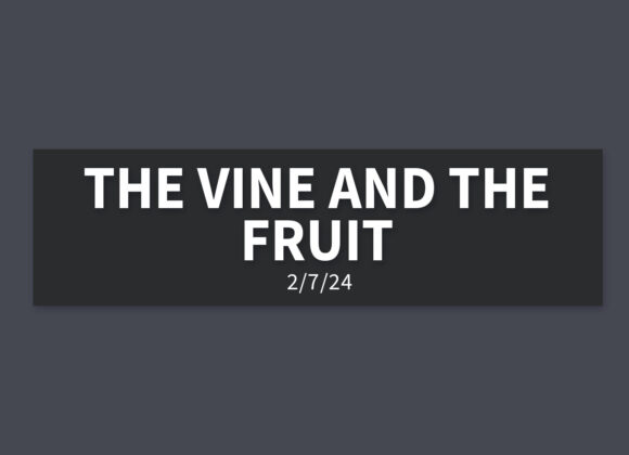 The Vine and the Fruit | Sunday, February 11, 2024 | Gary Zamora