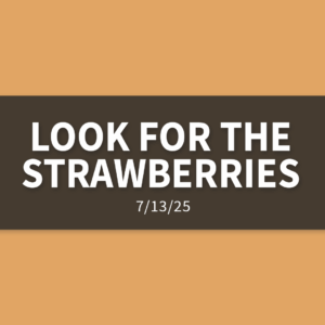 Look For The Strawberries | Sunday, July 13, 2025 | Gary Zamora