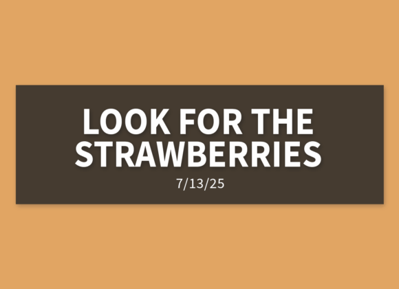 Look For The Strawberries | Sunday, July 13, 2025 | Gary Zamora