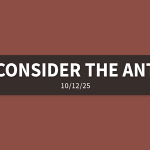 Consider The Ant | Sunday, October 12, 2025 | Gary Zamora