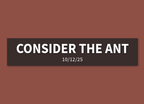 Consider The Ant | Sunday, October 13, 2025 | Gary Zamora